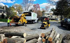 Best Tree Risk Assessment  in Dooms, VA