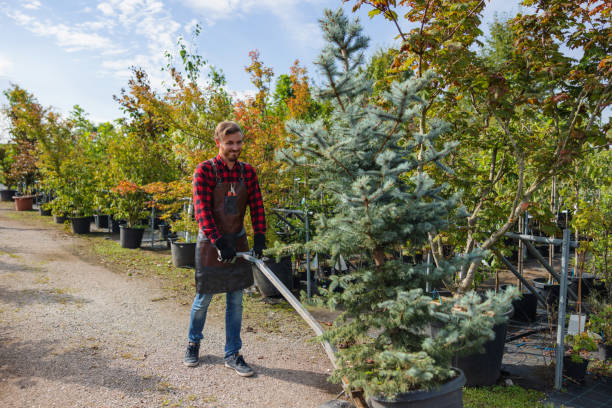 Best Commercial Tree Services  in Dooms, VA